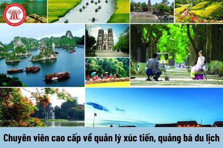 Xu hướng Triệu Lộ Tư cắt phăng mái tóc: Hotspot Matrix tiết lộ bí quyết video viral